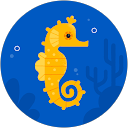 celia rocha profile picture